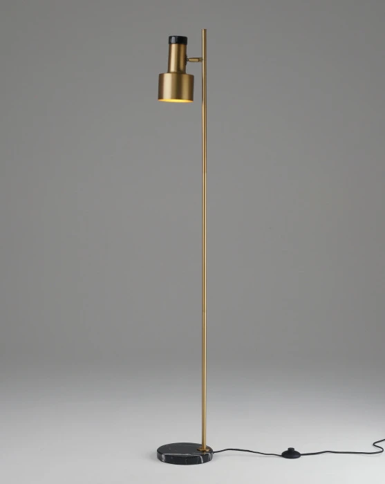V11310-1F Moderli