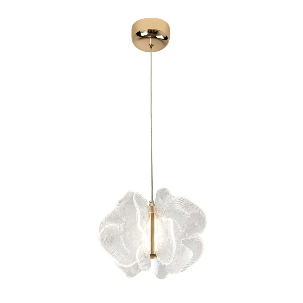 ML.6222.260 CP Modelux