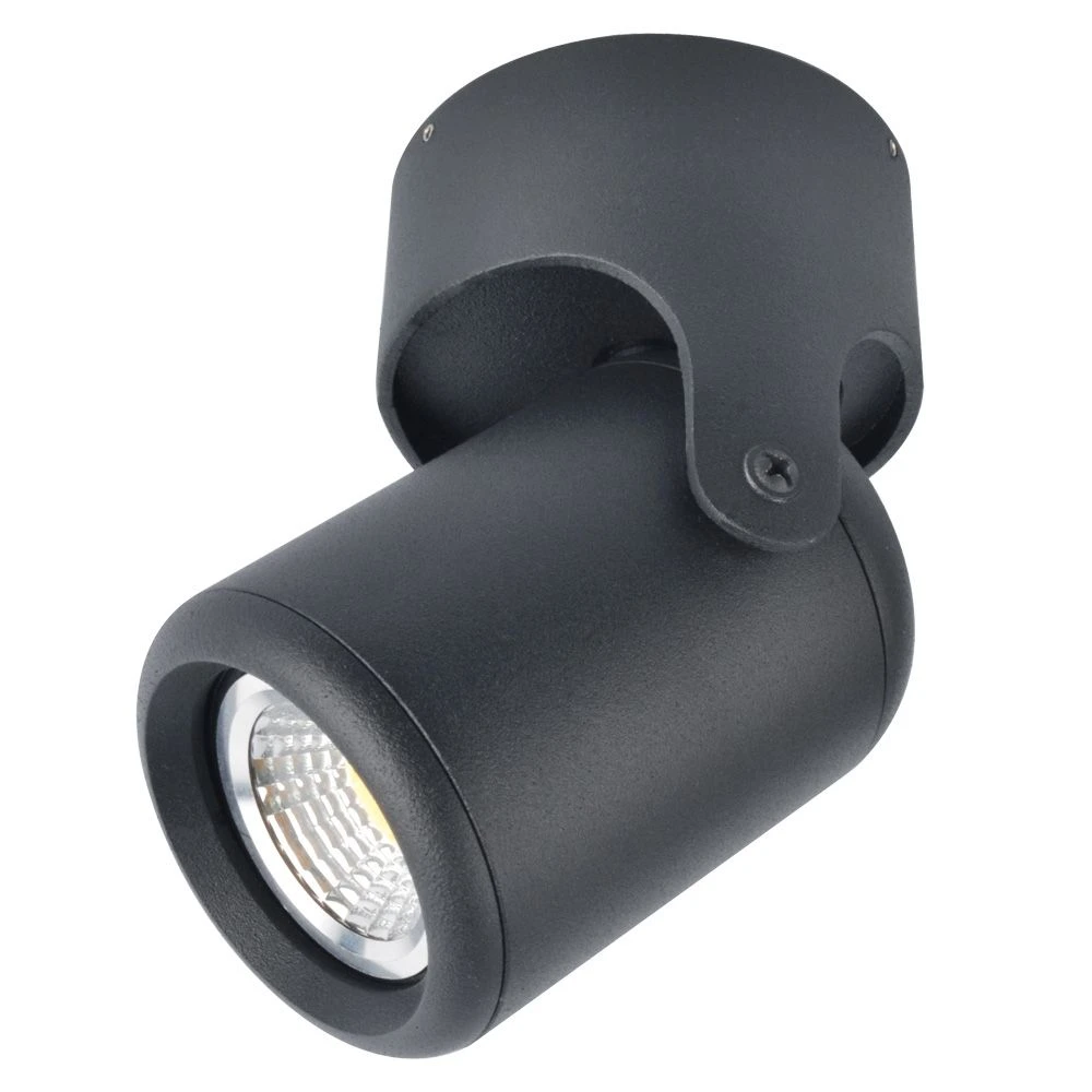 A3316PL-1BK Arte Lamp