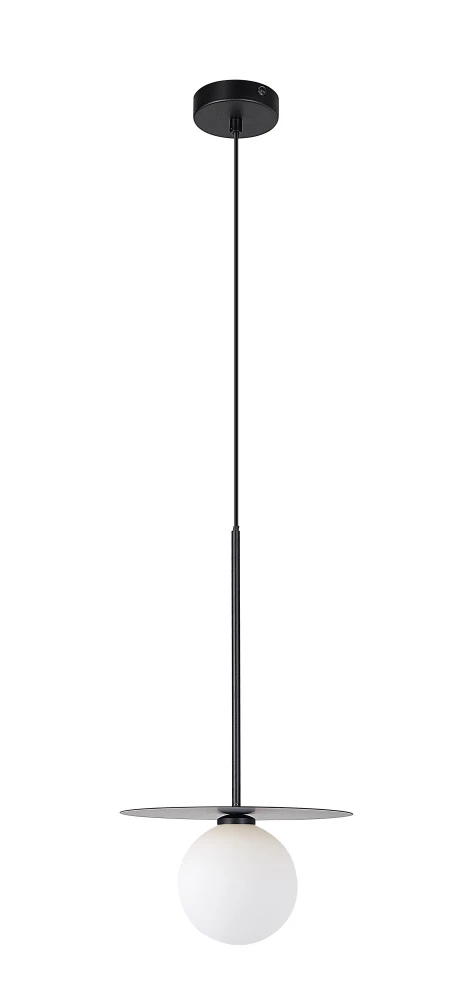 V11570-1P Moderli