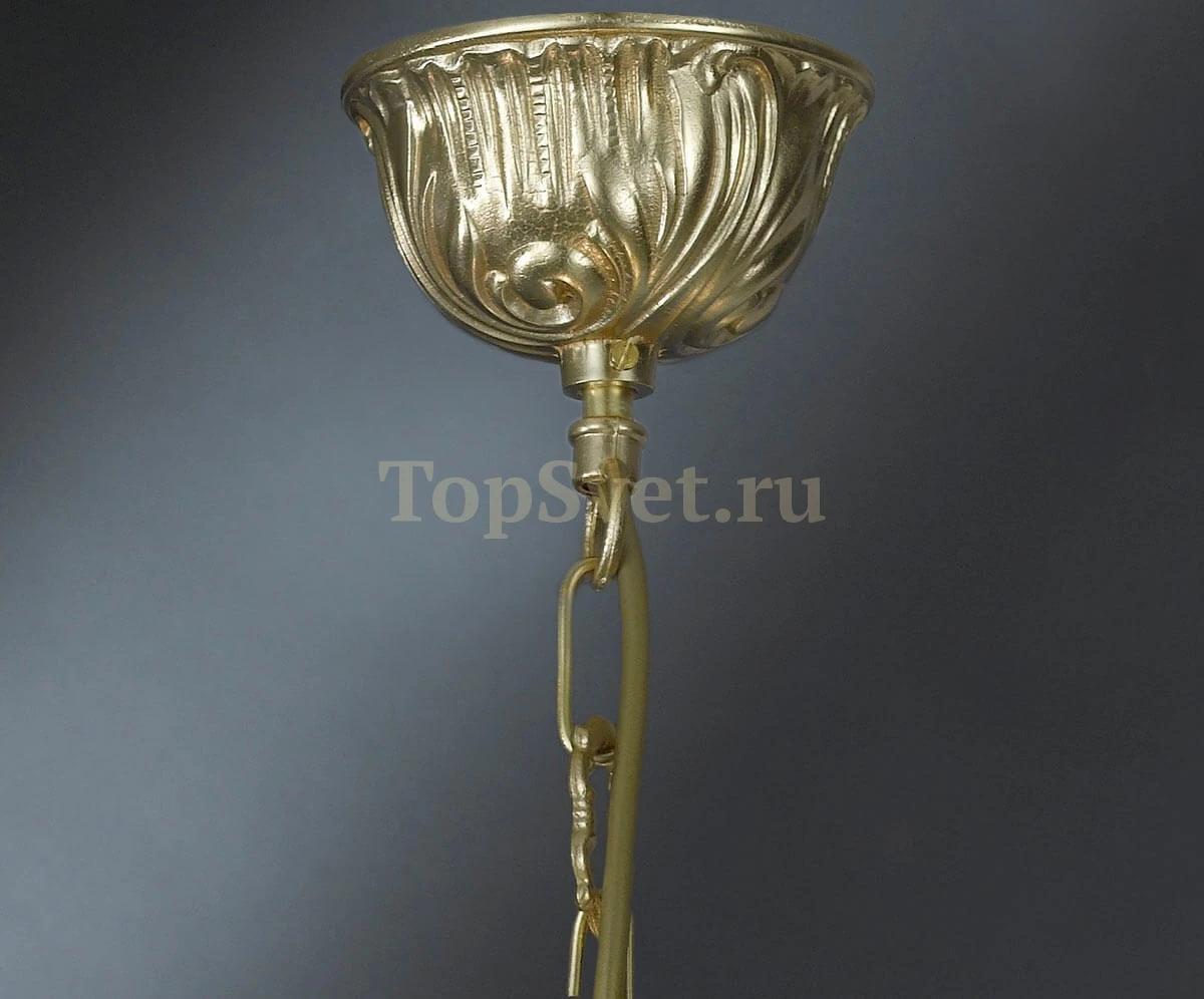 978/8S CHAMPAGNE Nervilamp