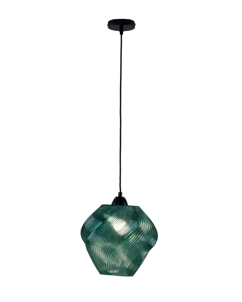 V11661-1P Moderli