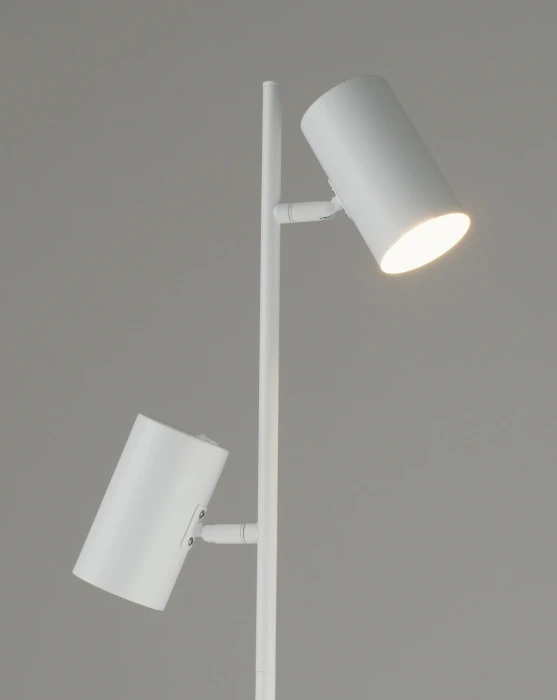 V11331-2F Moderli