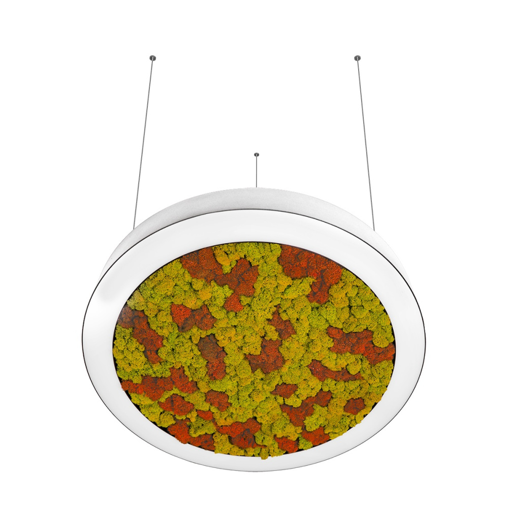 DL600S54WW Moss White красный-желтый_