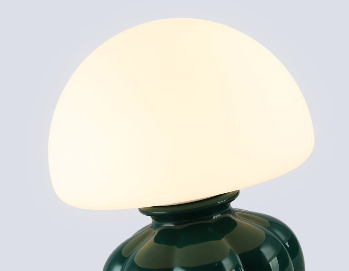 LH53249 Ambrella