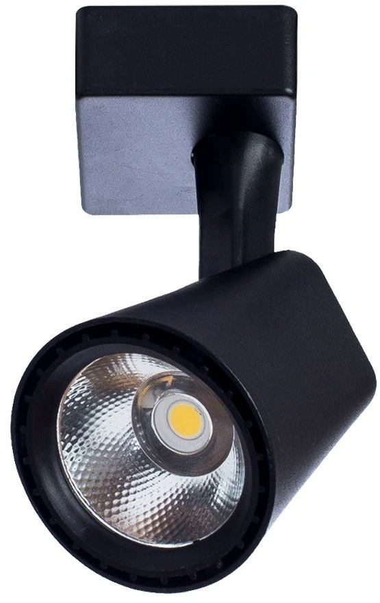 A1810PL-1BK Arte Lamp