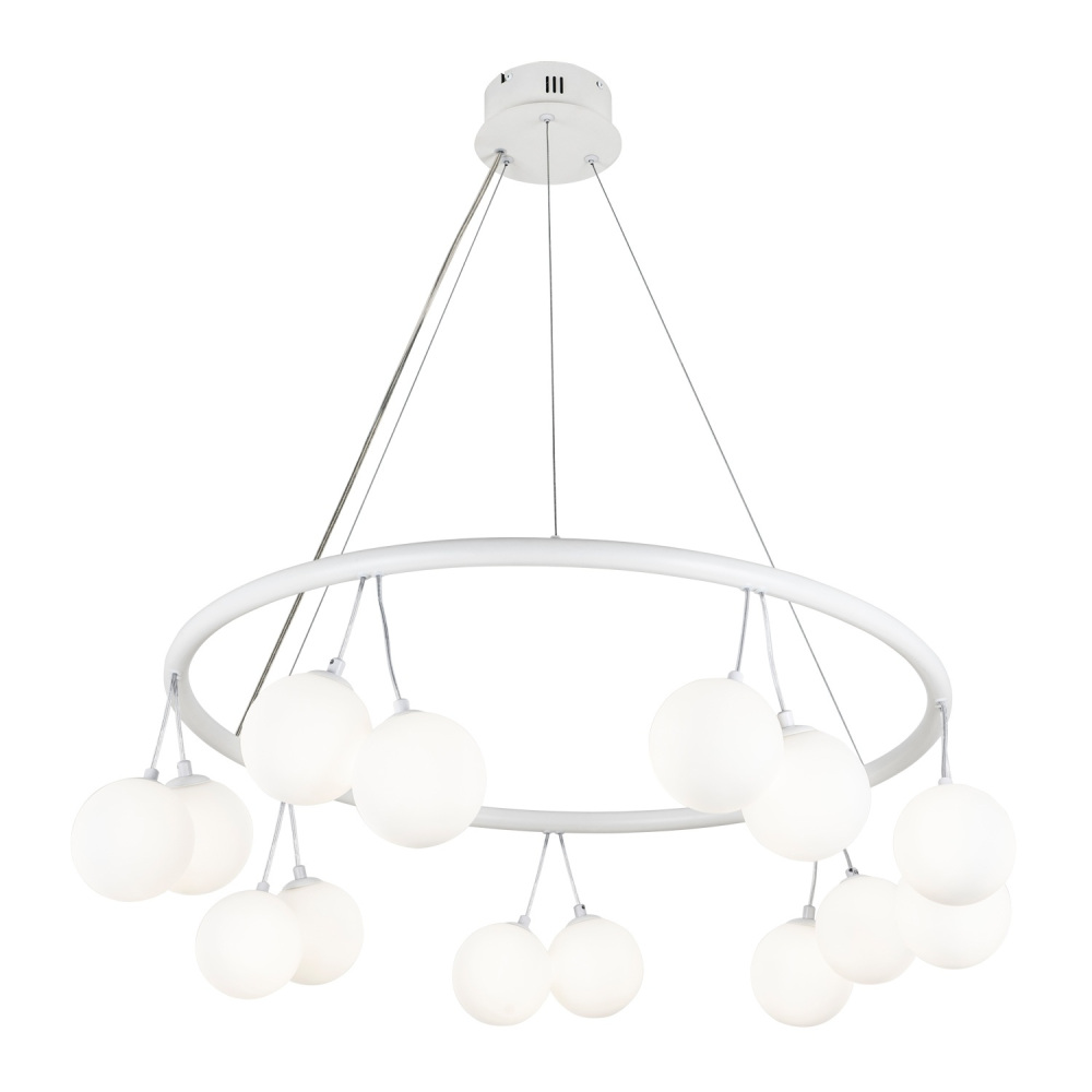 MS.6120.14 WH Modelux