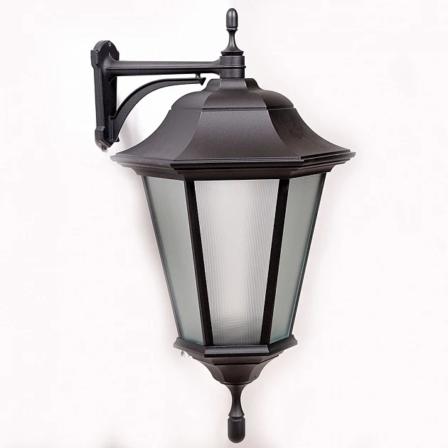 79826 Bl Oasis Light