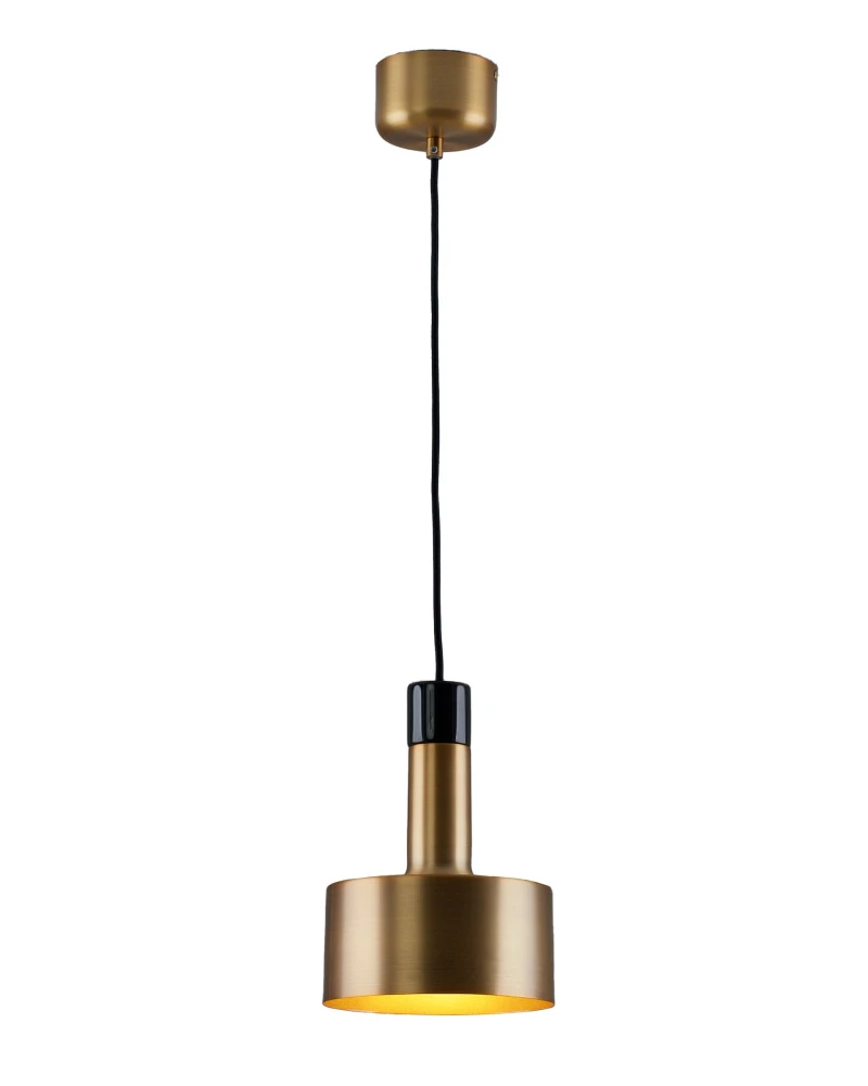 V11317-1P Moderli
