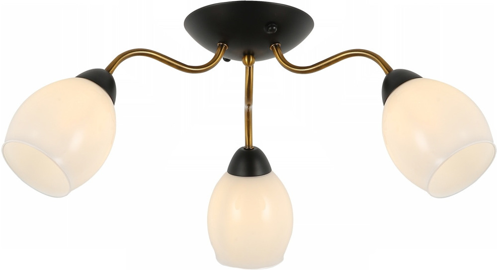 IL8193-3COU-79 BK GD_