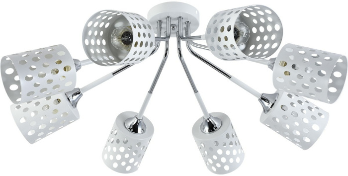 11355-0.3-08A WH+CR_