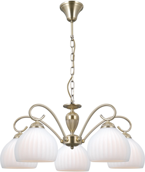 IL0695-5PSQ-24 AB CAPELLA_