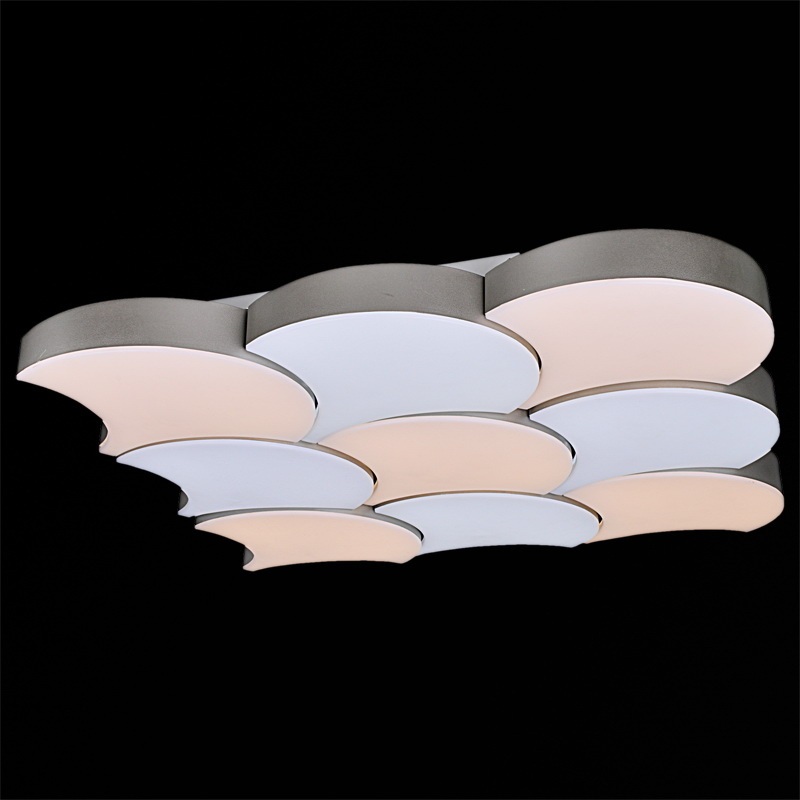 Потолочный светильник  01218-0.3-09LED Reluce