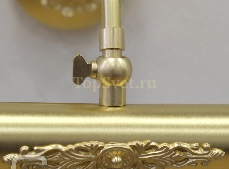 01006 CHAMPAGNE Nervilamp
