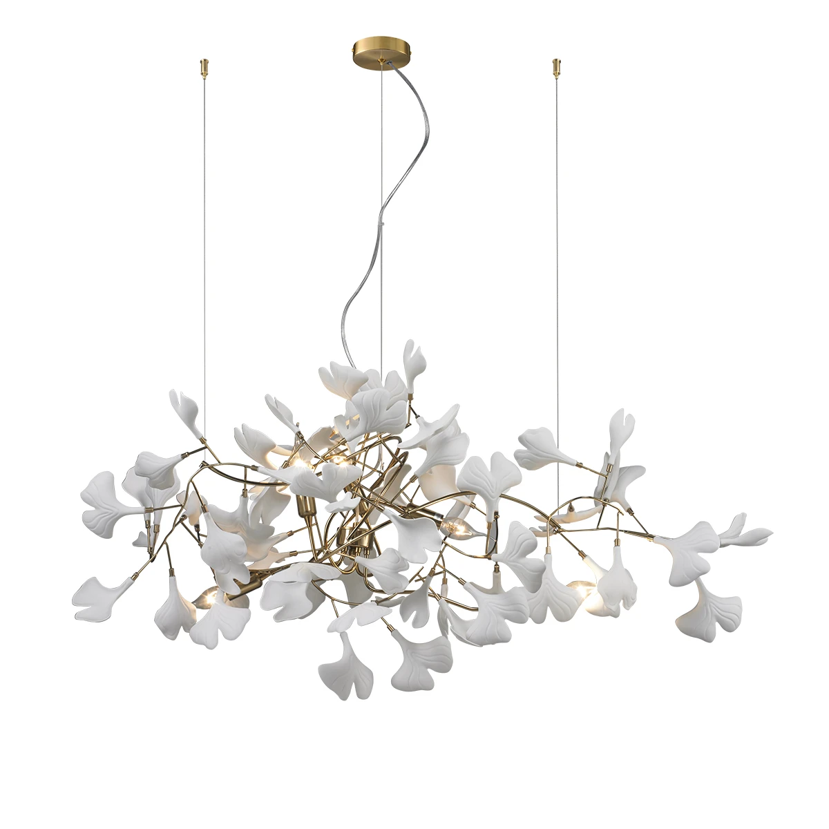 10881P/L800 gold/white Delight Collection