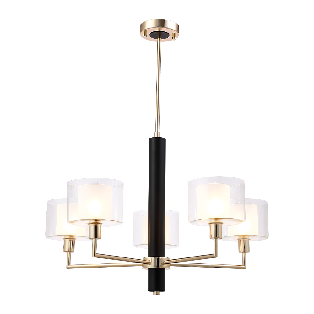 MAESTRO SP-PL5 GOLD_