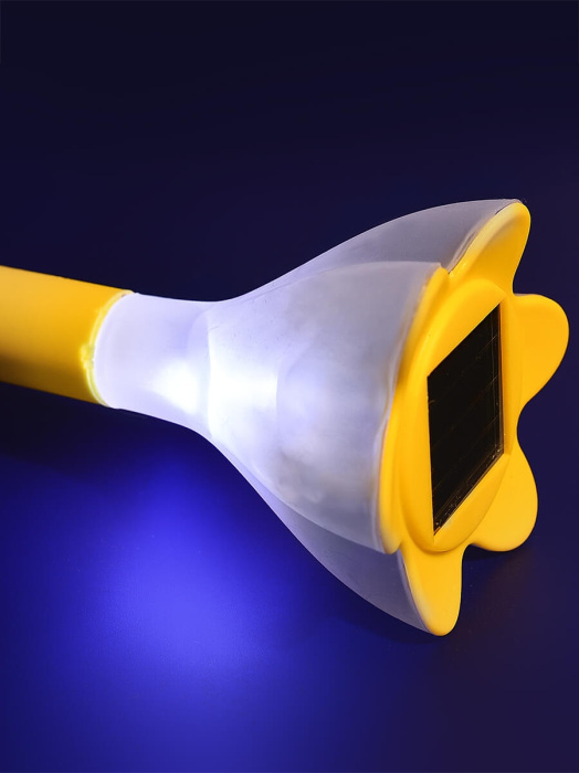 USL-C-419/PT305 Yellow crocus_