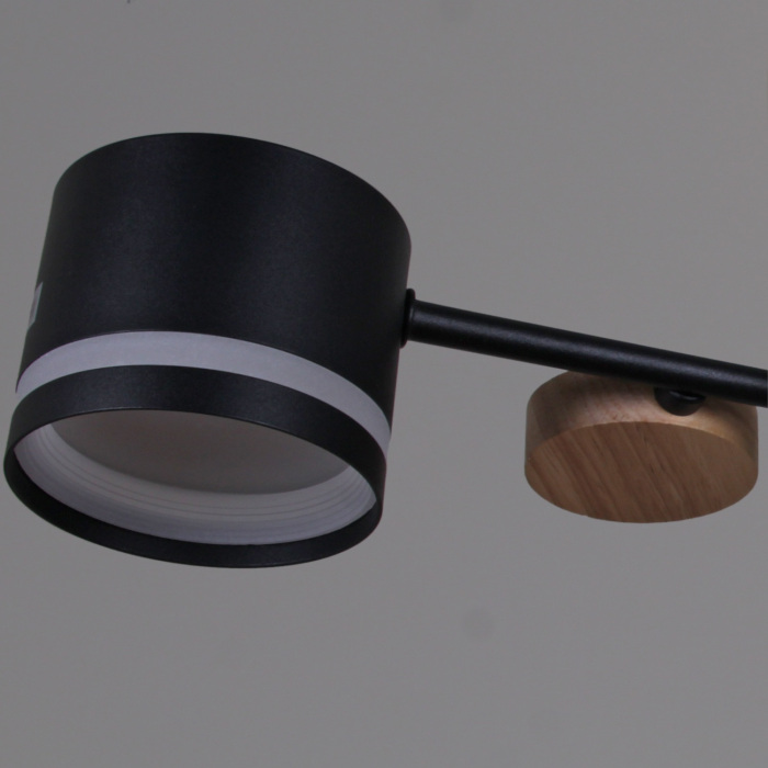 68730-0.3-08 GX53 BK+WOOD_