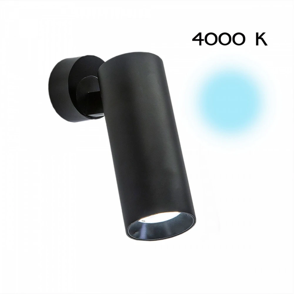 CL01B121N Citilux