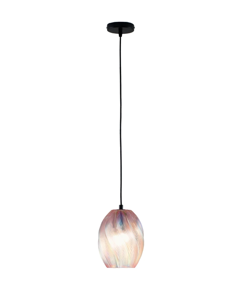 V11663-1P Moderli