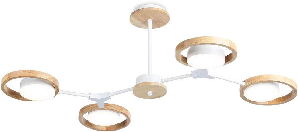 FL51609 Ambrella