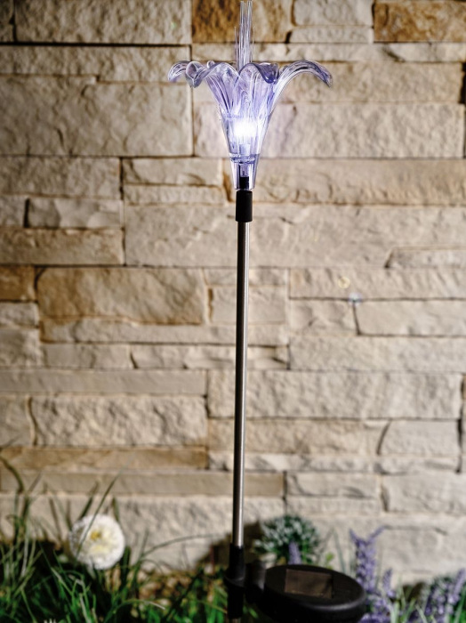 USL-S-104/MT810 Lily_