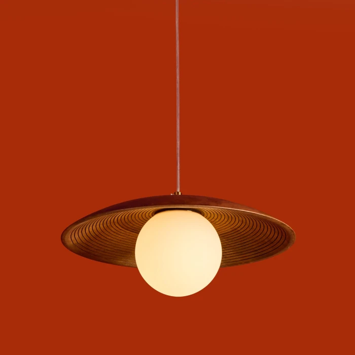 FR5589PL-01T1